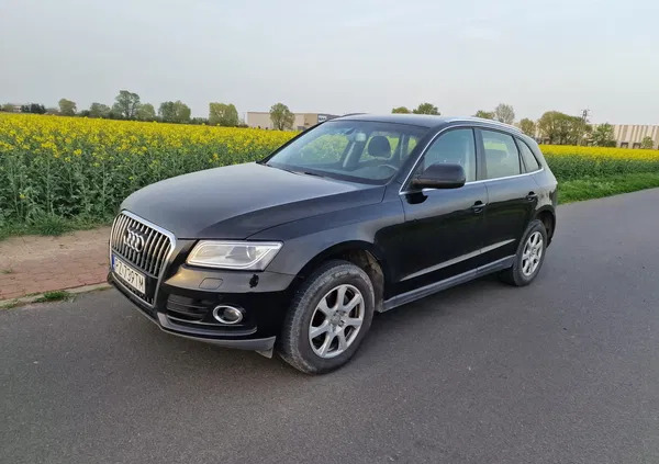 Audi Q5 cena 58900 przebieg: 206000, rok produkcji 2013 z Kolbuszowa małe 56